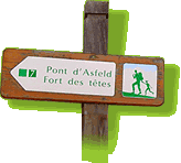 vous etes dans la bonne direction